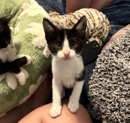 Lance Mathews thumbnail 2