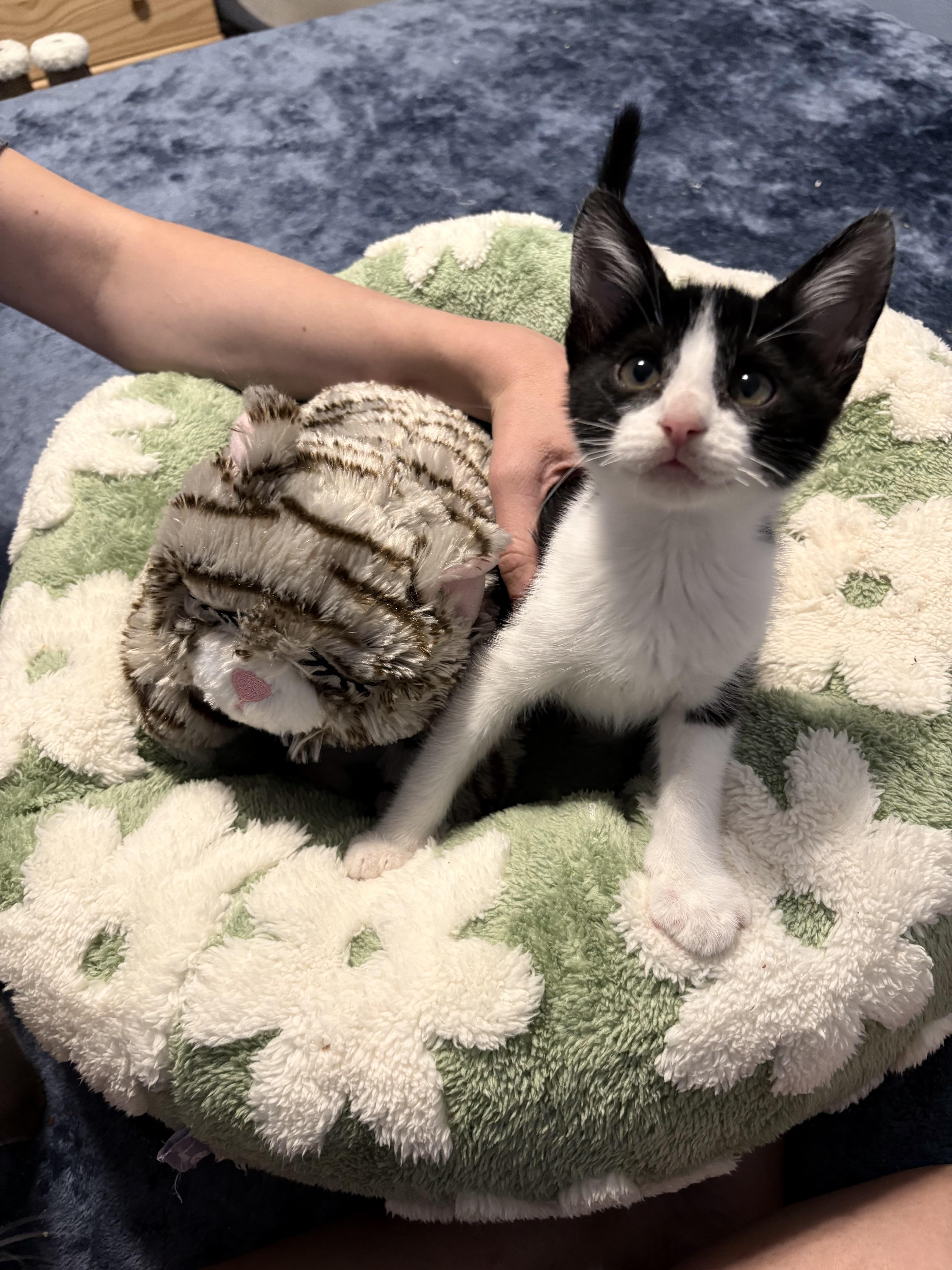 Lance Mathews thumbnail 3