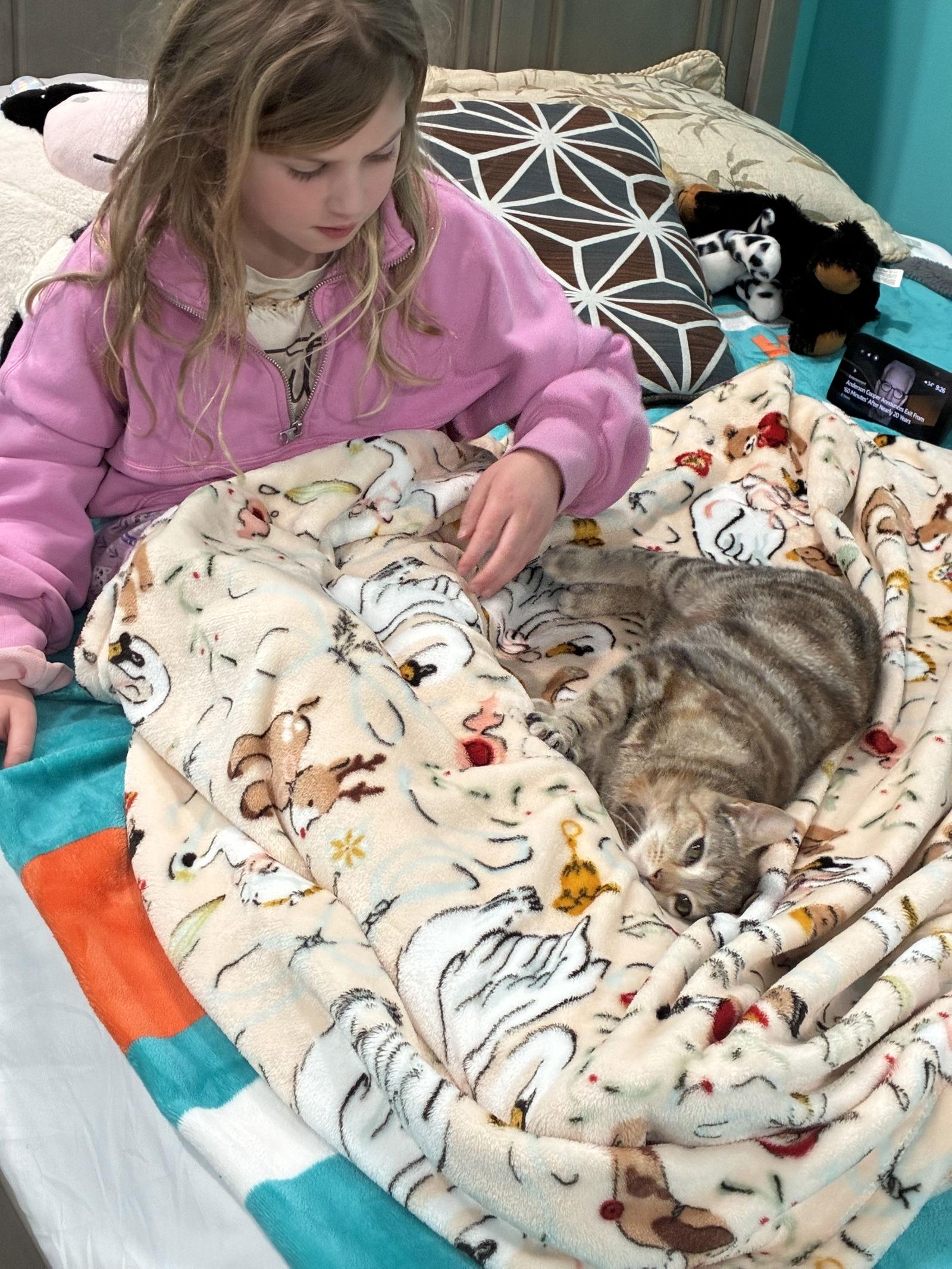 Bela — thumbnail 3