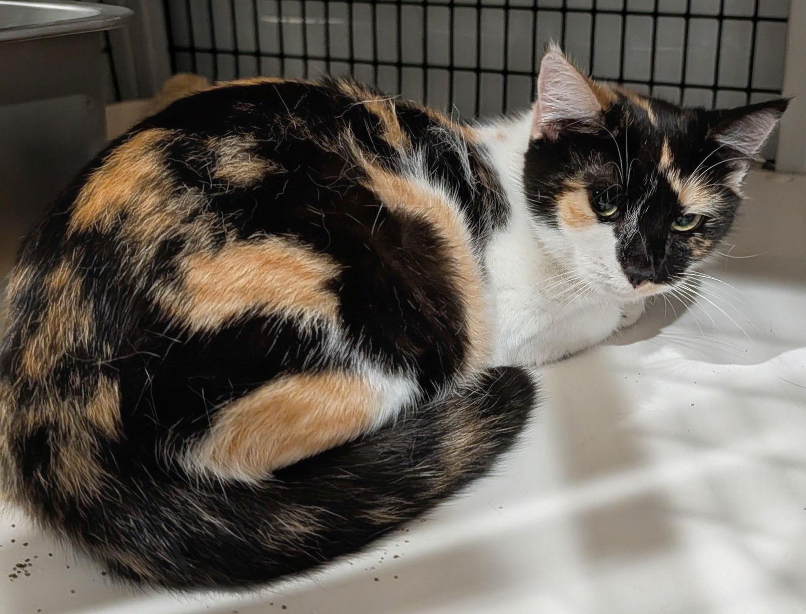 French Toast 9.15.25