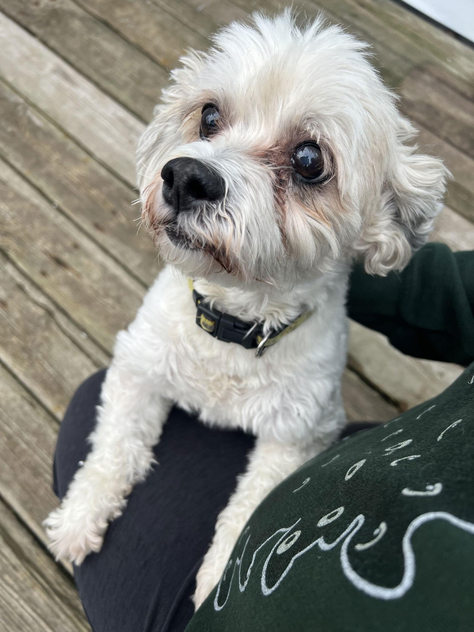 Sebastian thumbnail 2