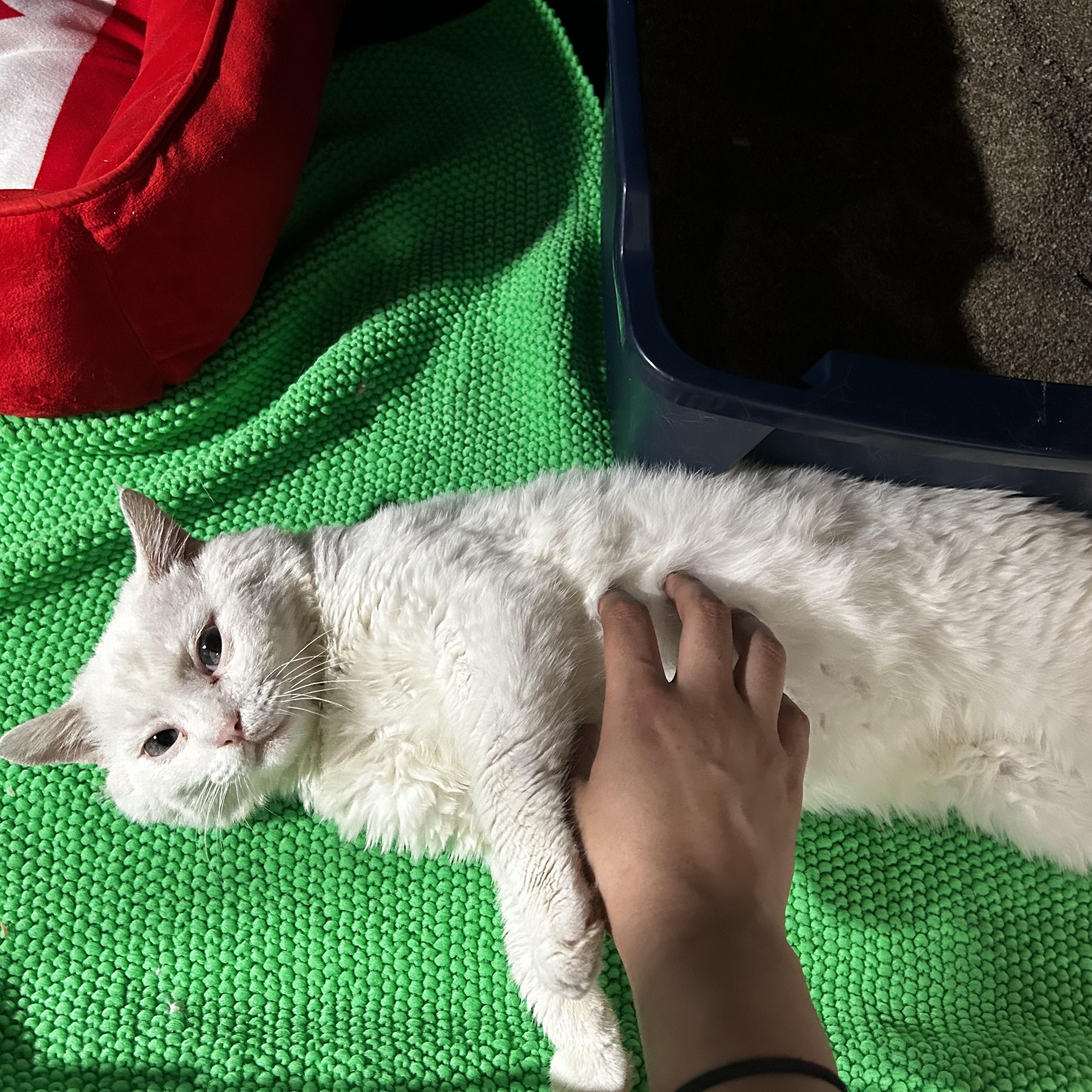Max