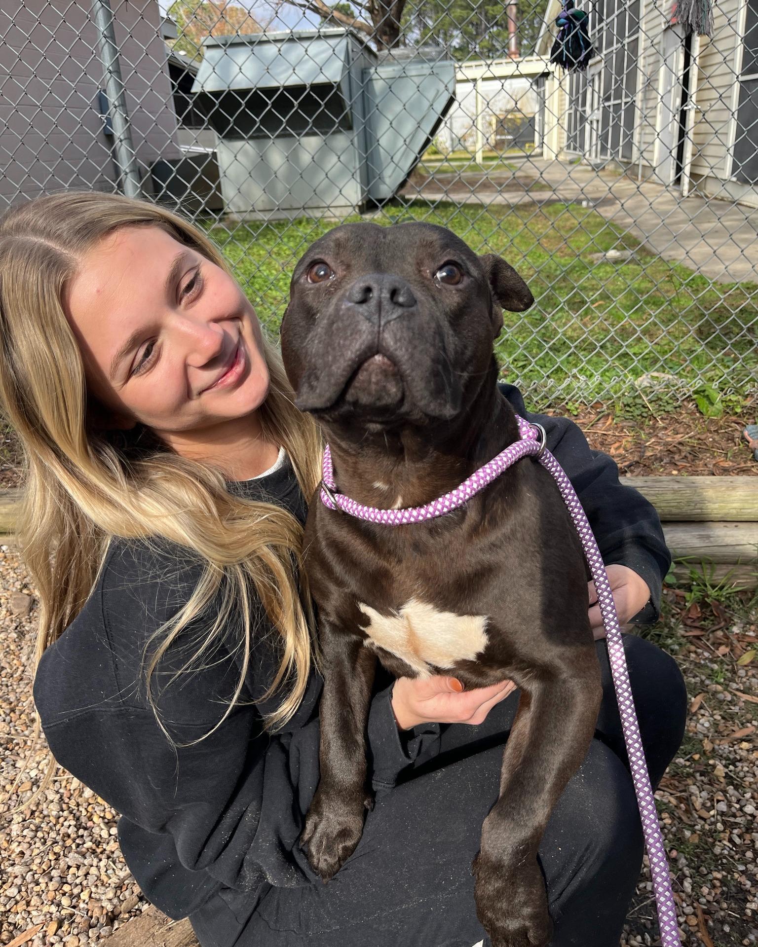 Cornelius thumbnail 3