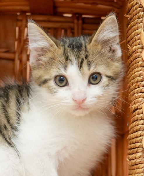 Slash will rock your world with his SUPER love!   TINY TOT
