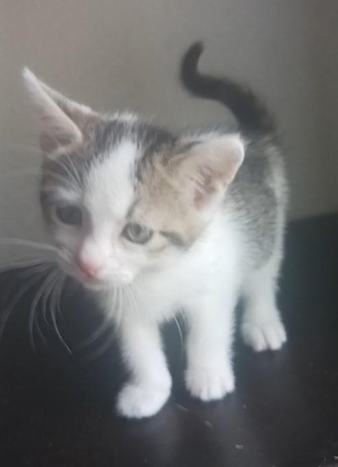 Edith photo 3