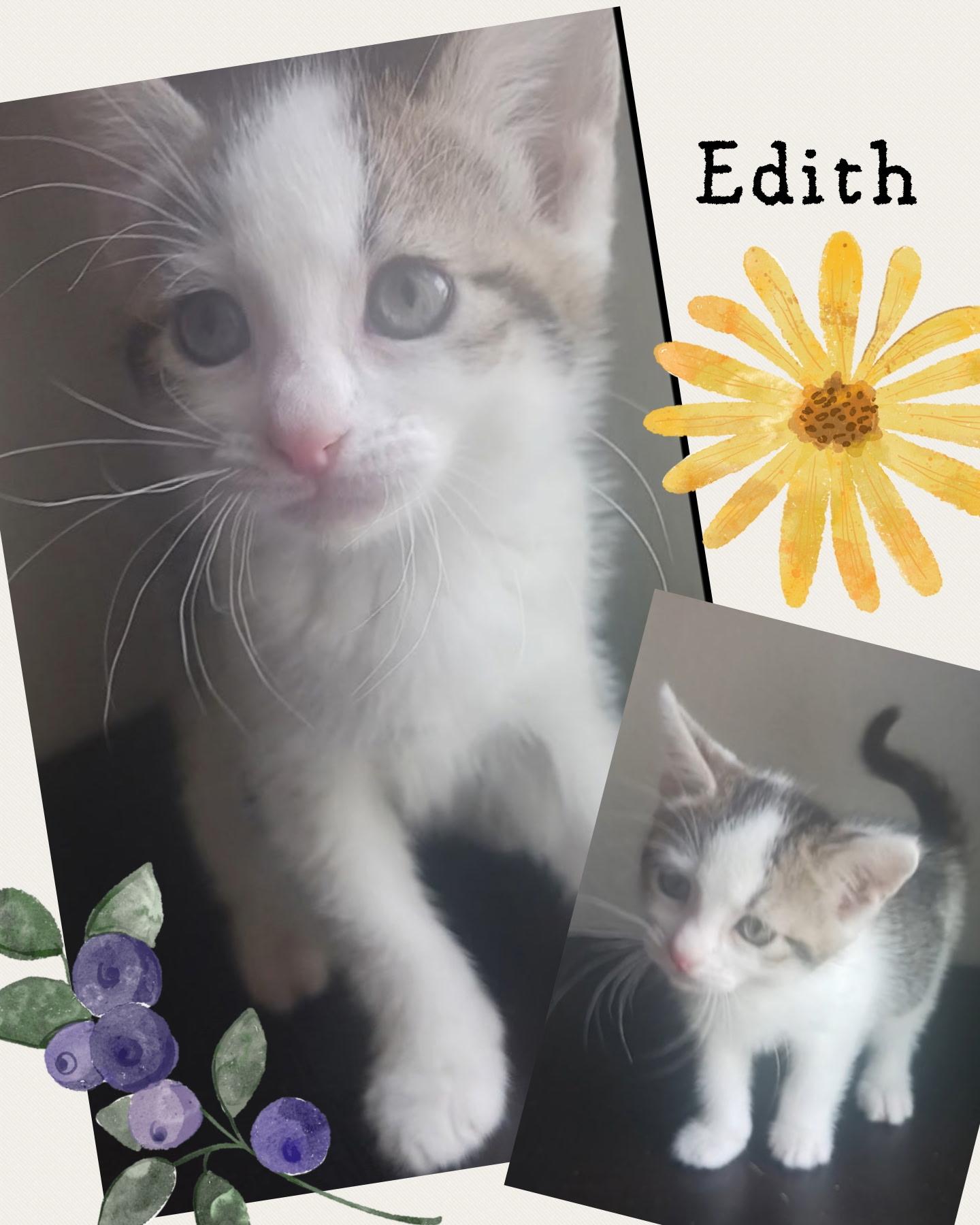 Edith photo 1
