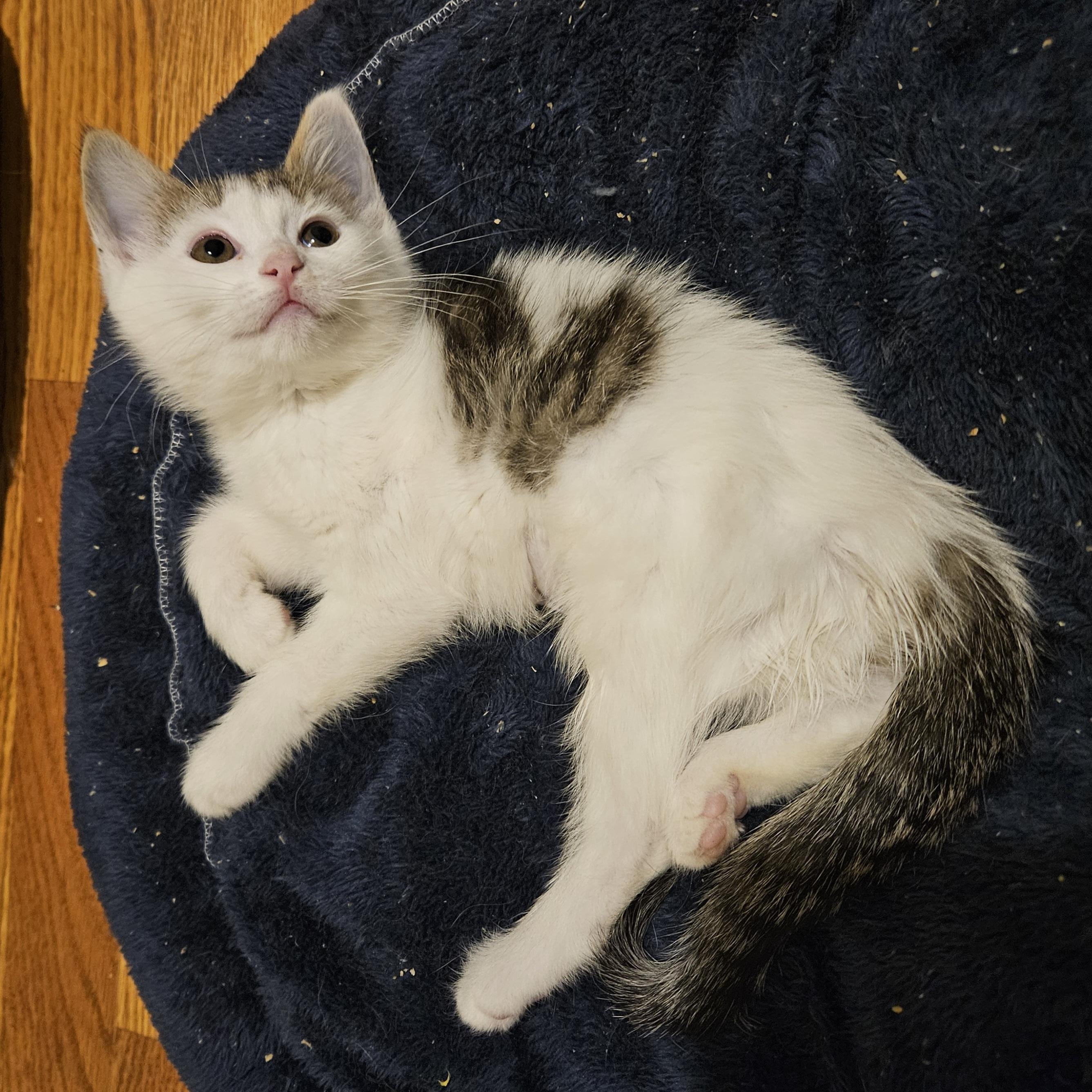 Mootilda (Tilly)