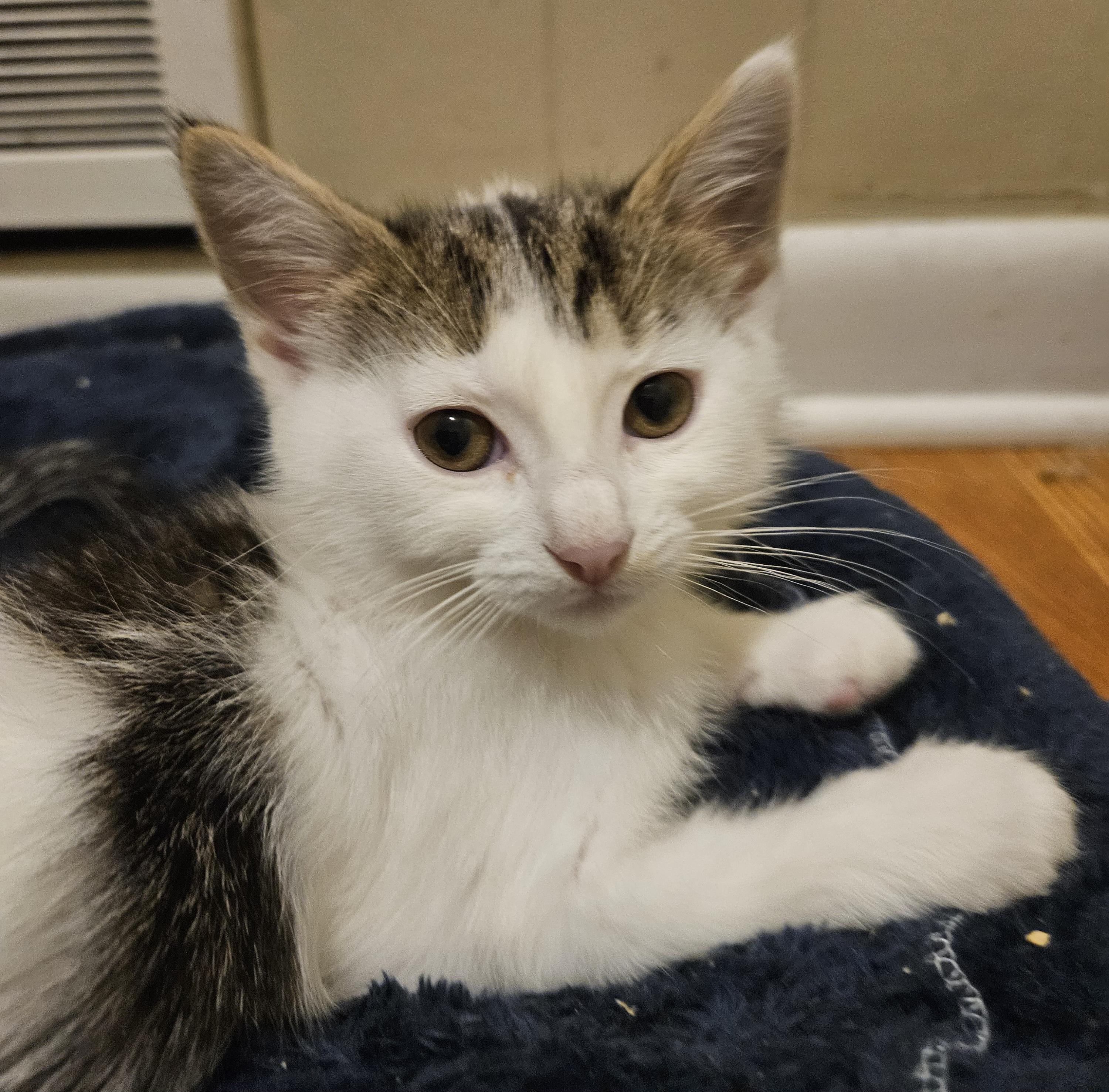 Mootilda (Tilly)