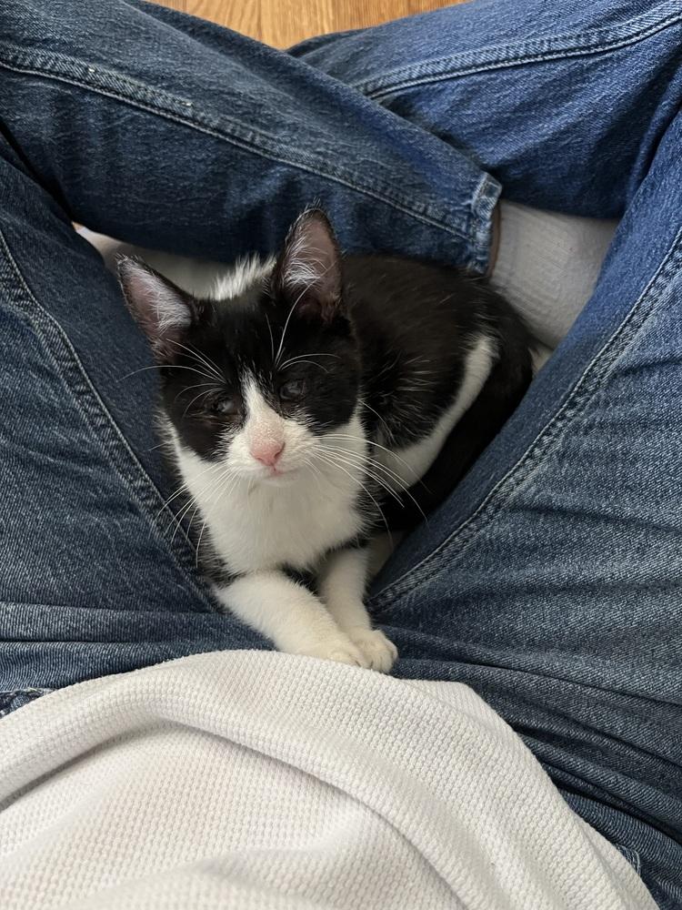 Verity — thumbnail 2