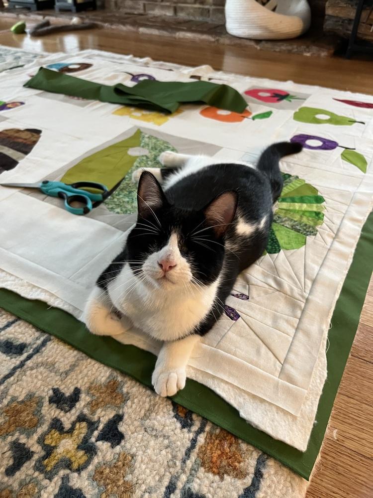 Verity — thumbnail 4