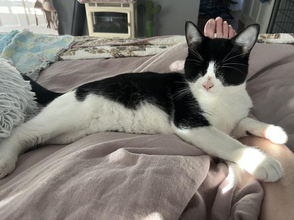 Verity — thumbnail 5