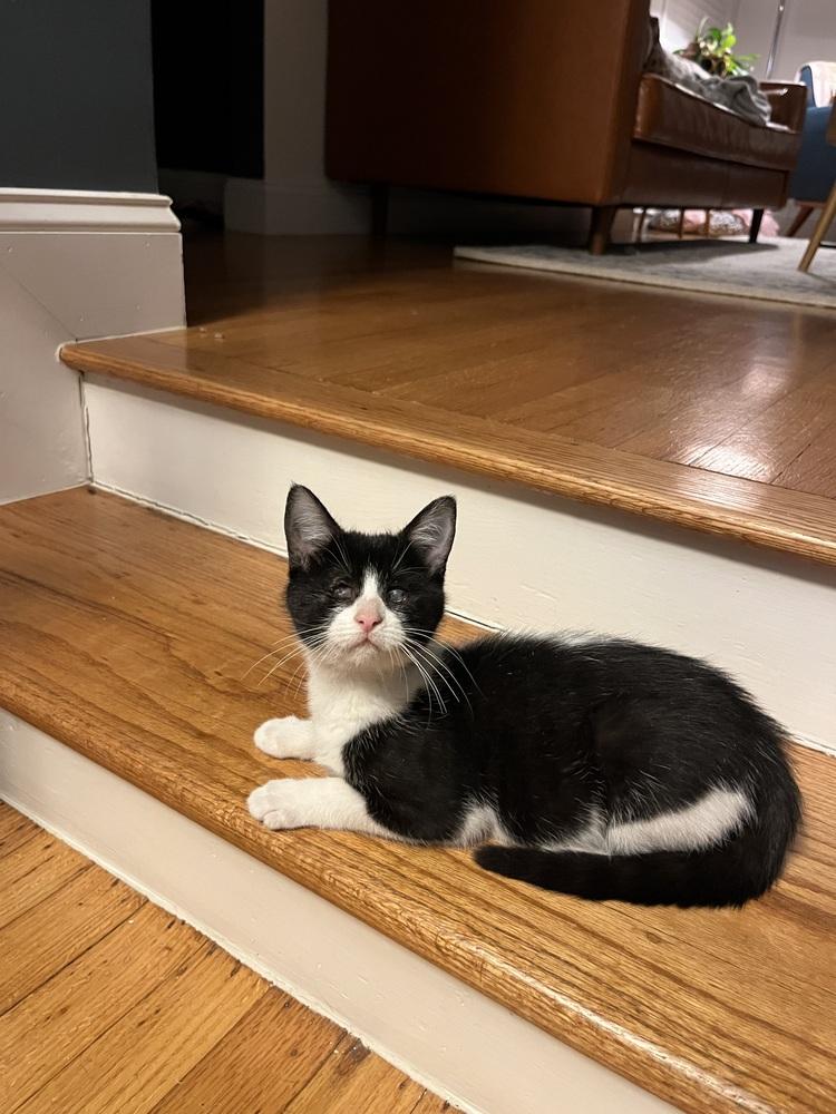 Verity — thumbnail 6