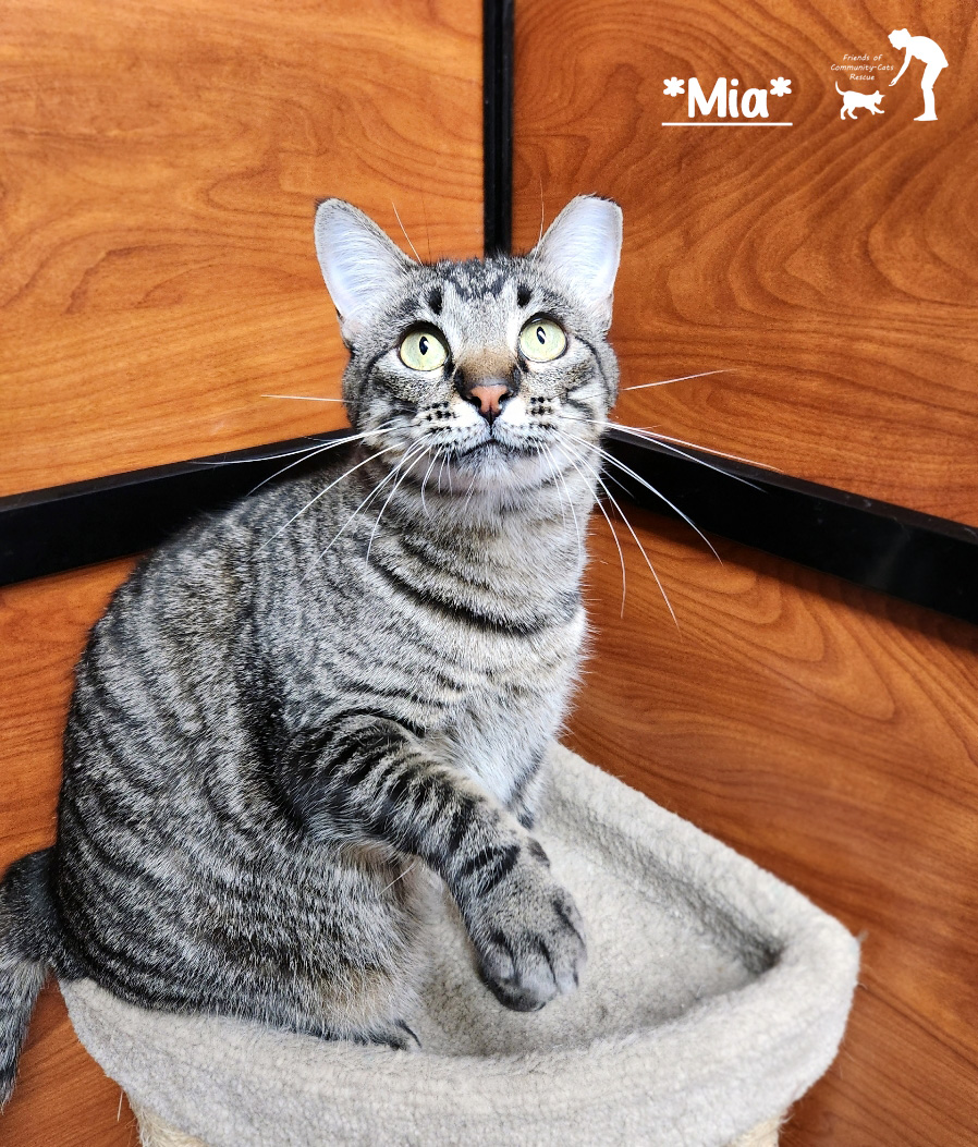 Mia