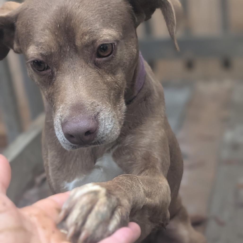 Cherokee thumbnail 3