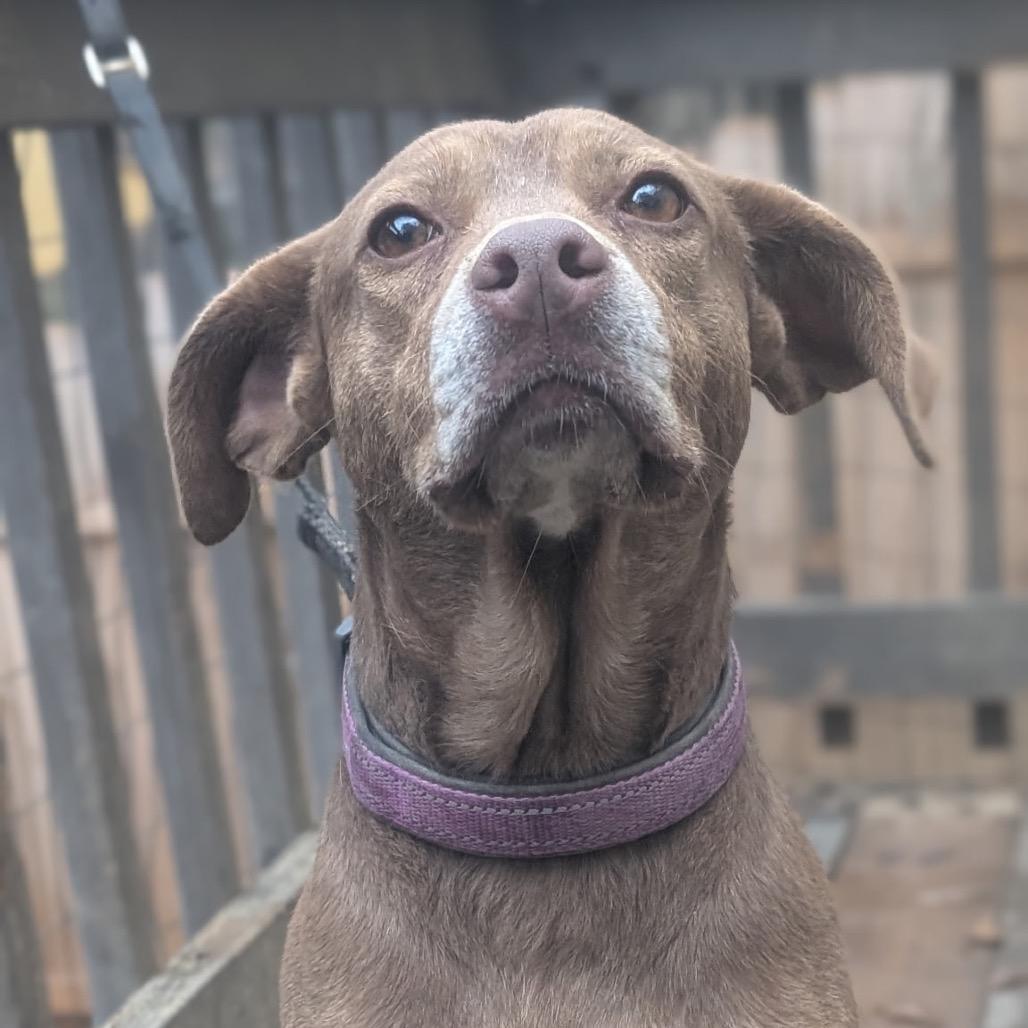 Cherokee thumbnail 4