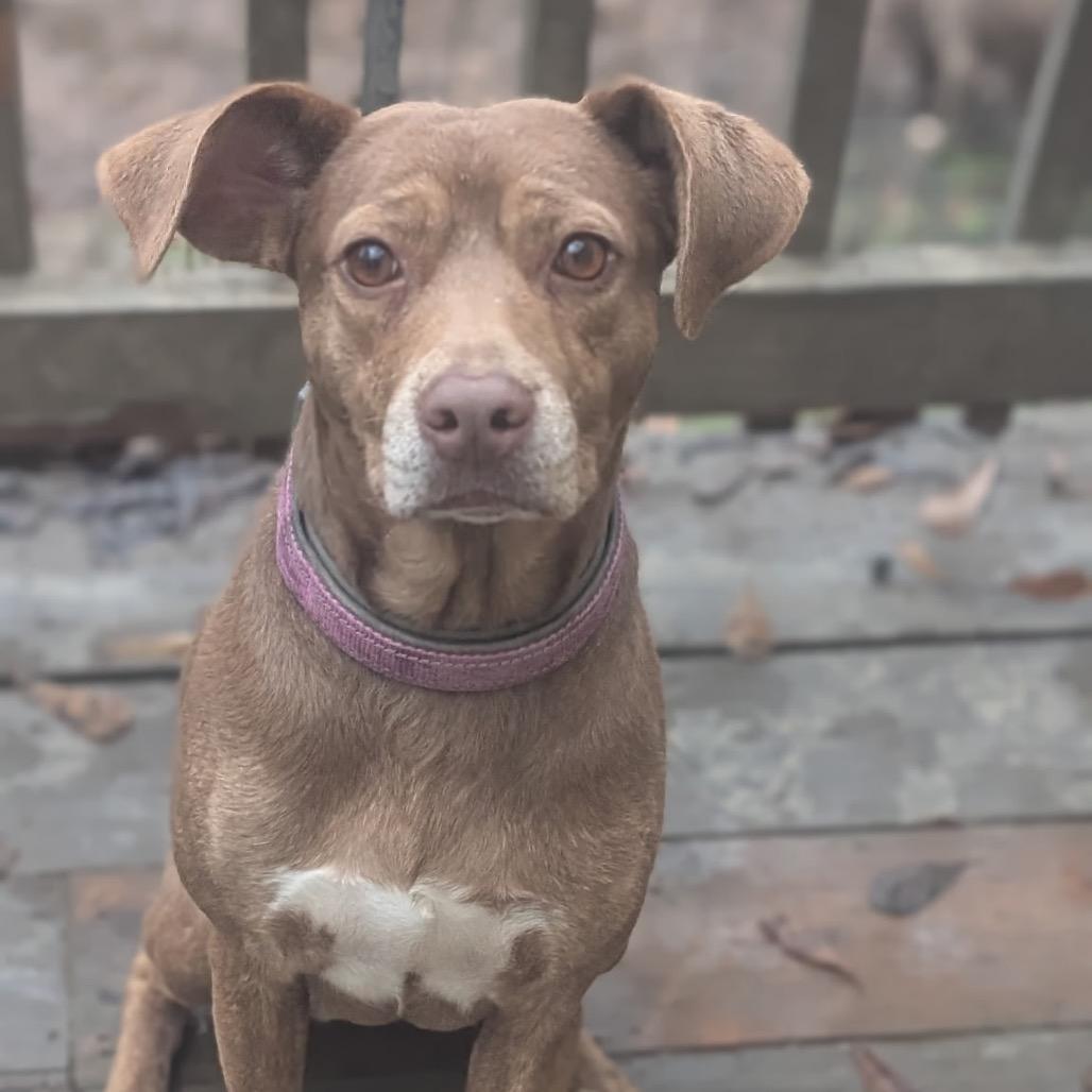 Cherokee thumbnail 5