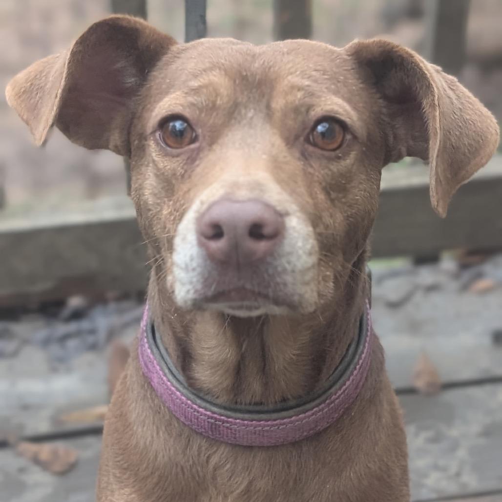 Cherokee thumbnail 6