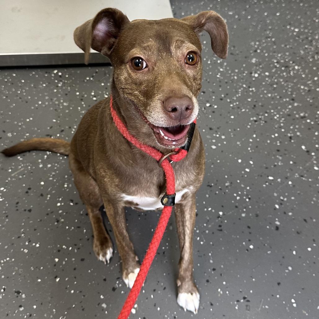 Cherokee thumbnail 7