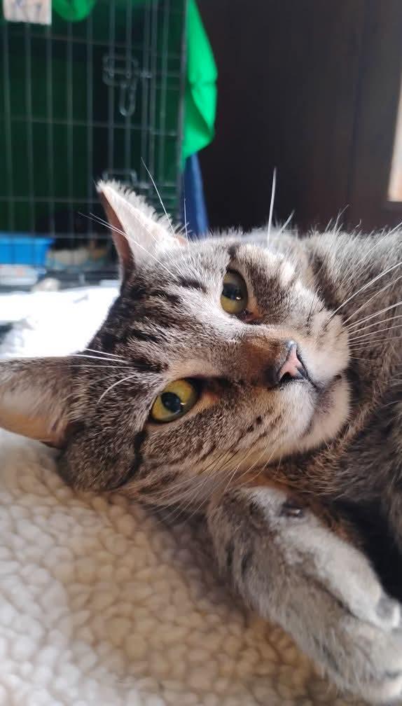 Vincent Baby thumbnail 3