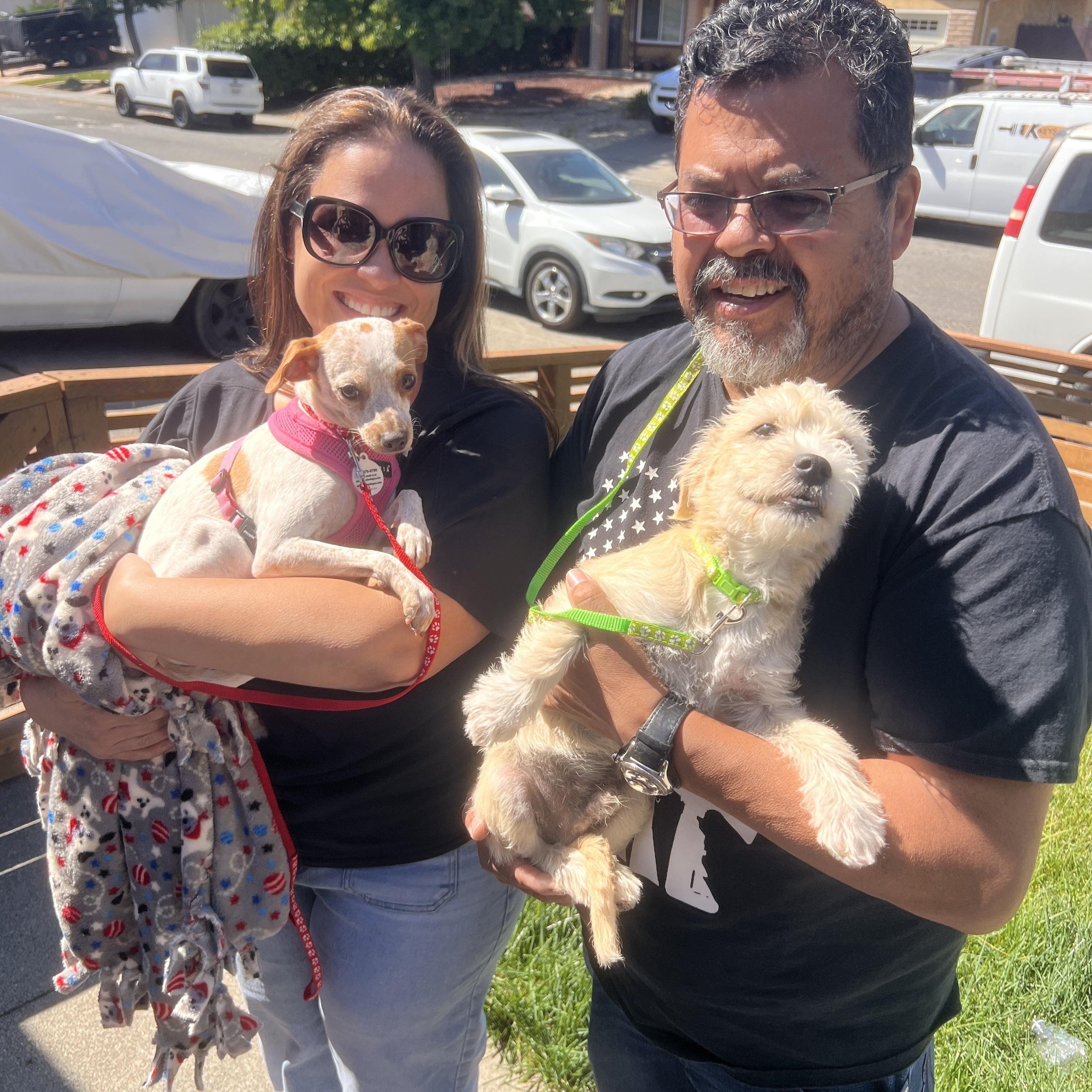 Speckles, a Adoptable mixed breed in Lafayette, CA image 4/6