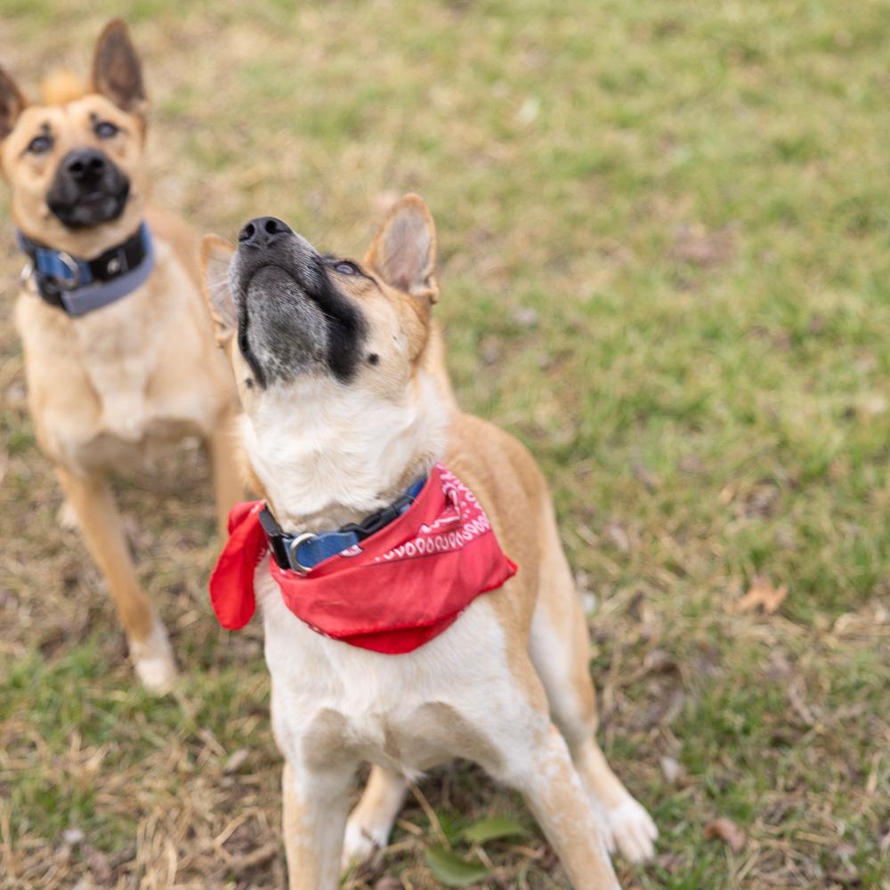 Rain — thumbnail 2