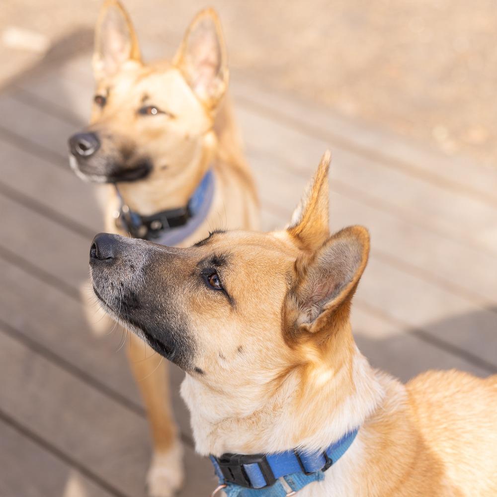 Rain — thumbnail 3