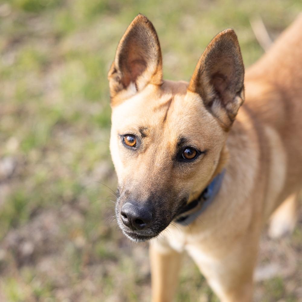 Rain — thumbnail 4