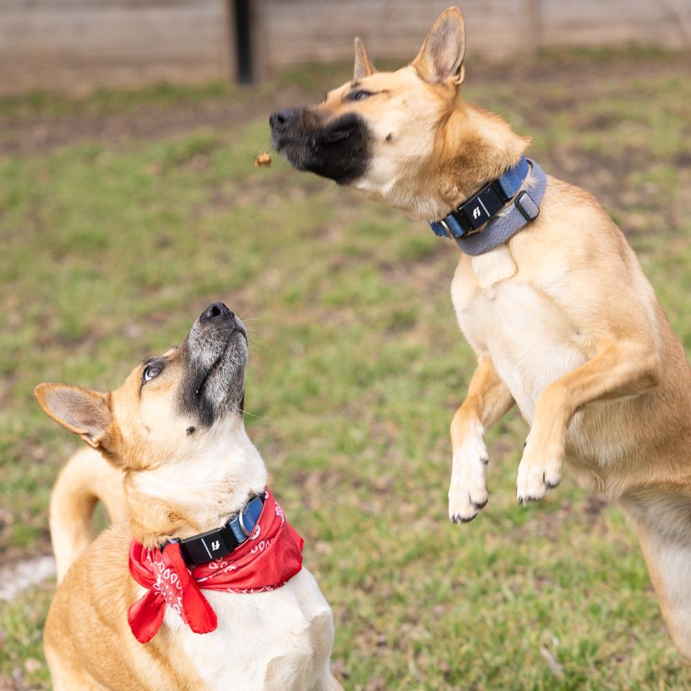 Rain — thumbnail 5