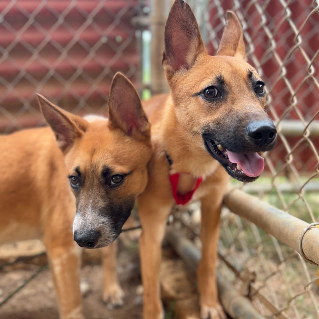 Rain — thumbnail 6