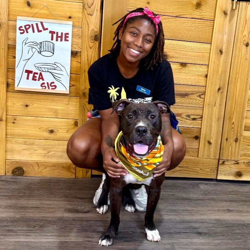 Tango the Tiny dancer — thumbnail 5