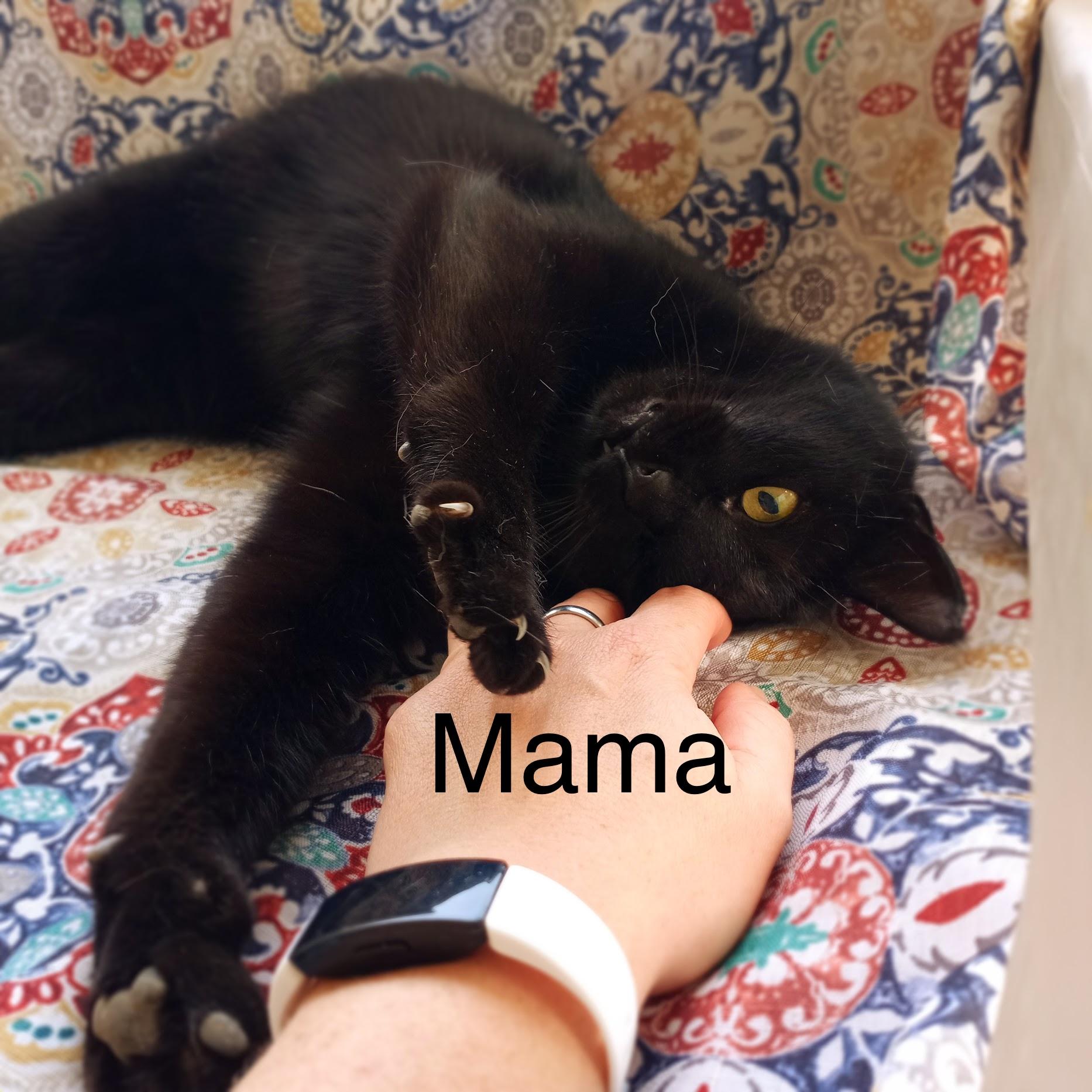 Mama (Kiki) photo 2