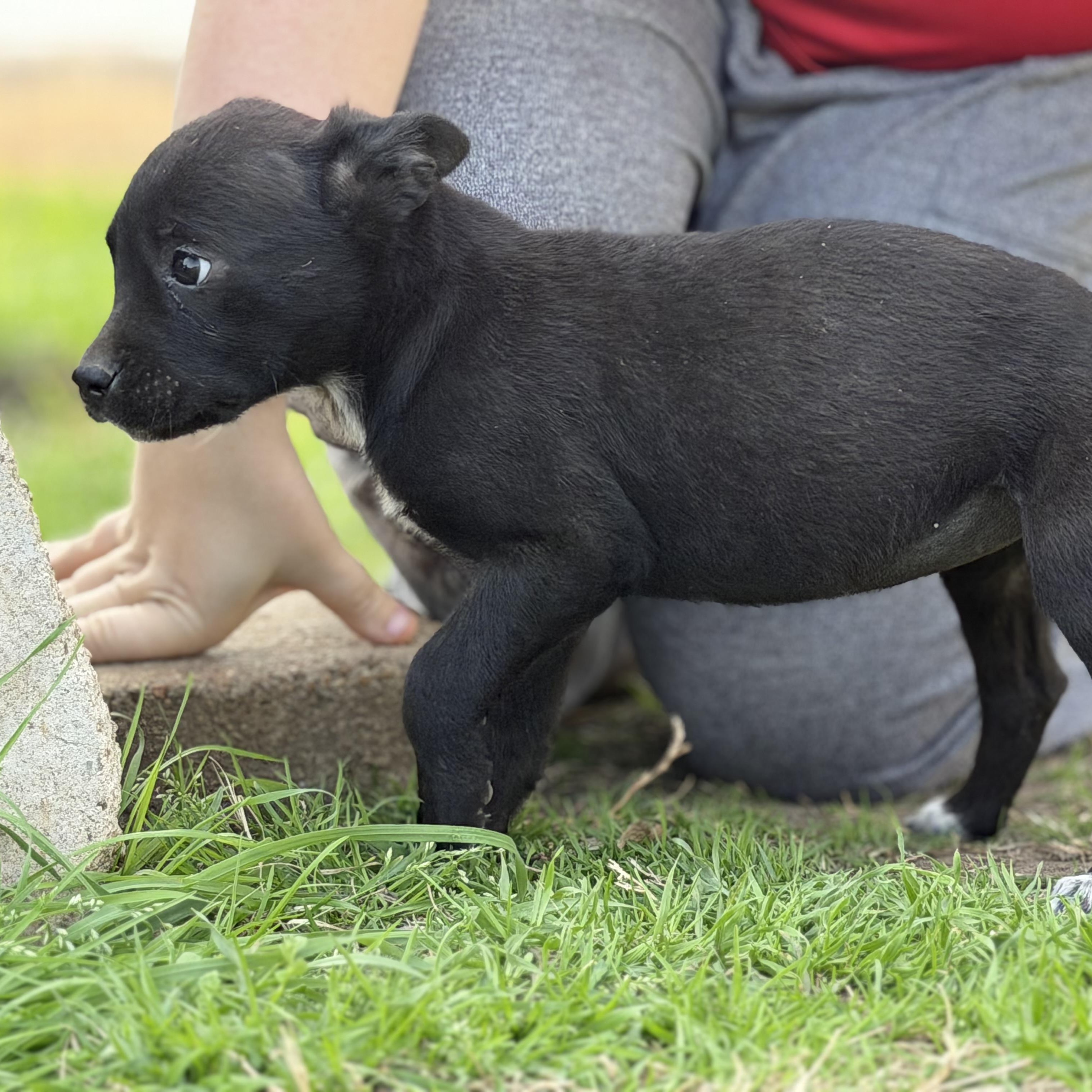 Aquarius — thumbnail 3