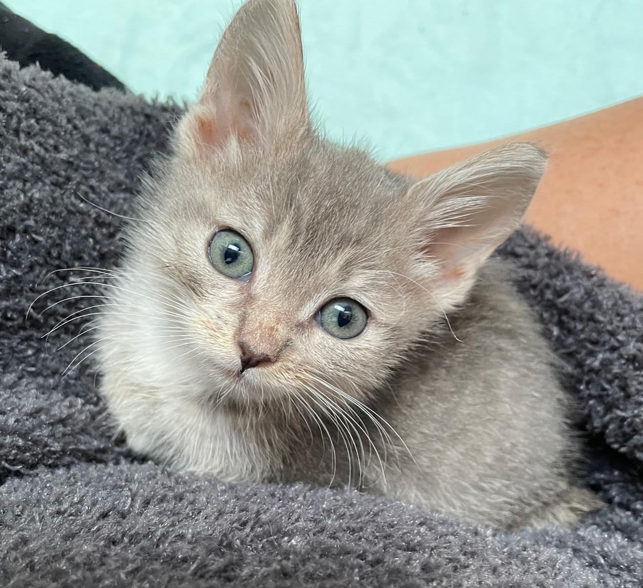 Amalie- bonded with Lucas