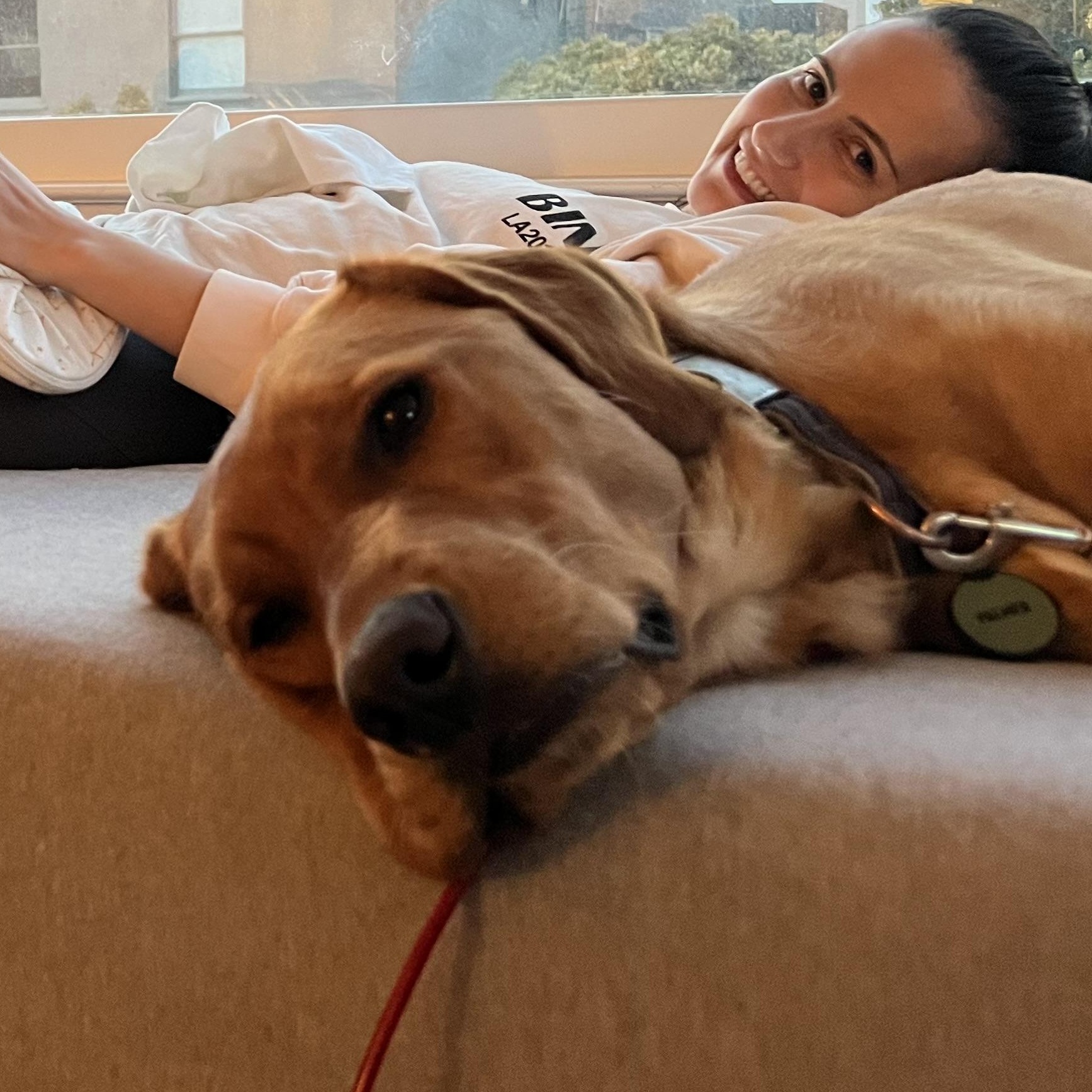 Palmer — thumbnail 4