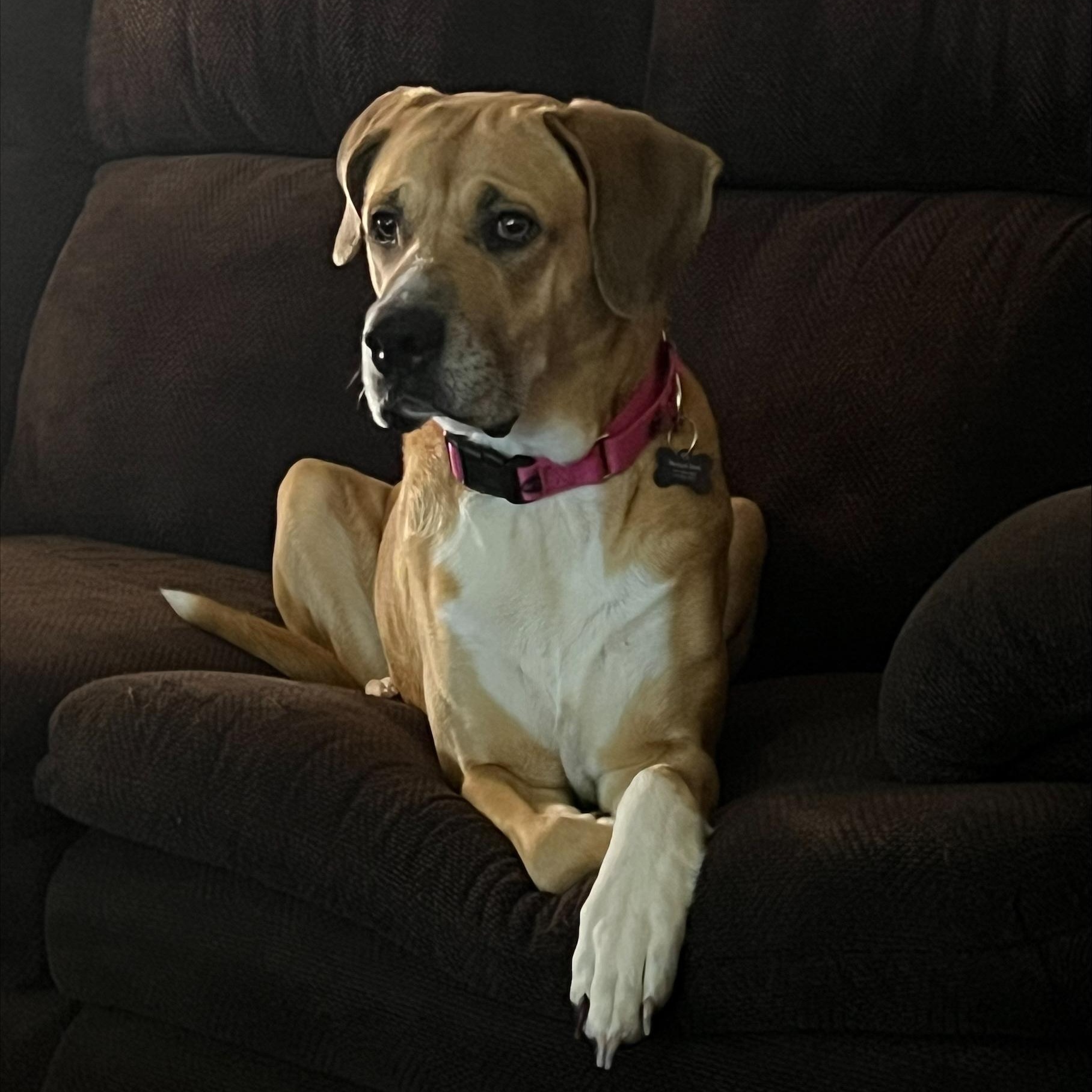 Addie