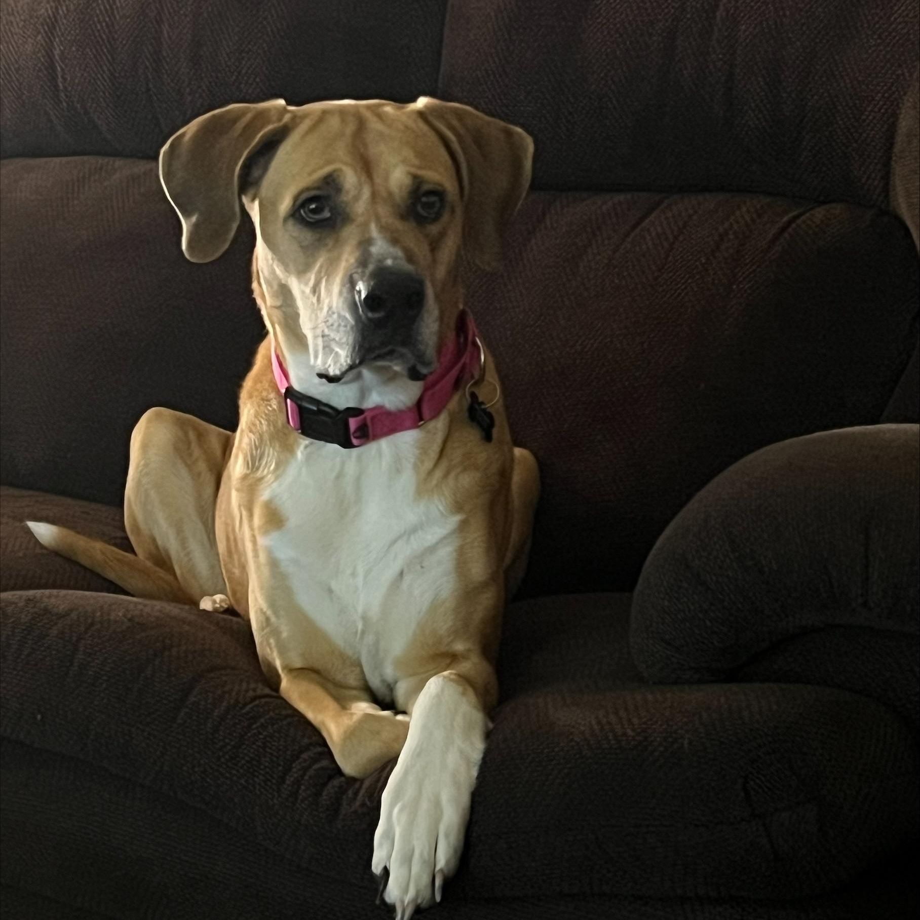 Addie