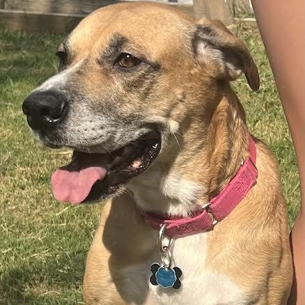 Addie