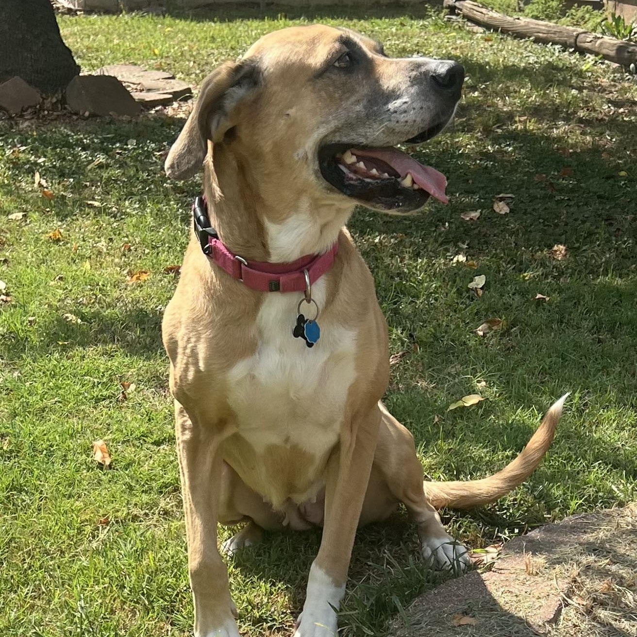 Addie