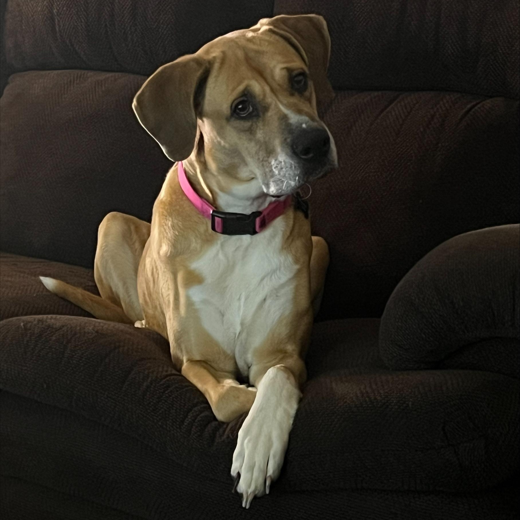 Addie