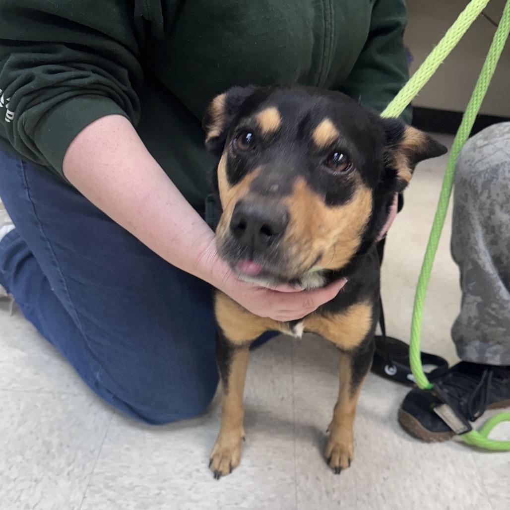 Khaleesi 5734 — thumbnail 2