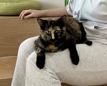Sesame photo 3