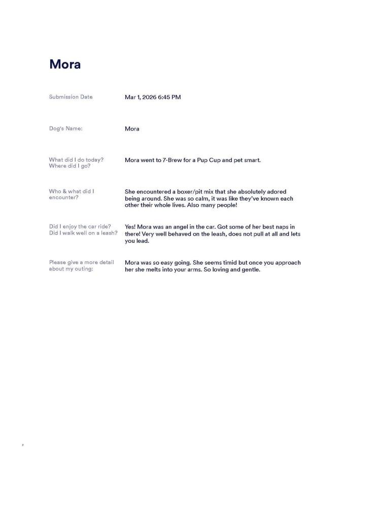 Enlarge Mora, a Adoptable mixed breed in Sorrento, LA image 2/5