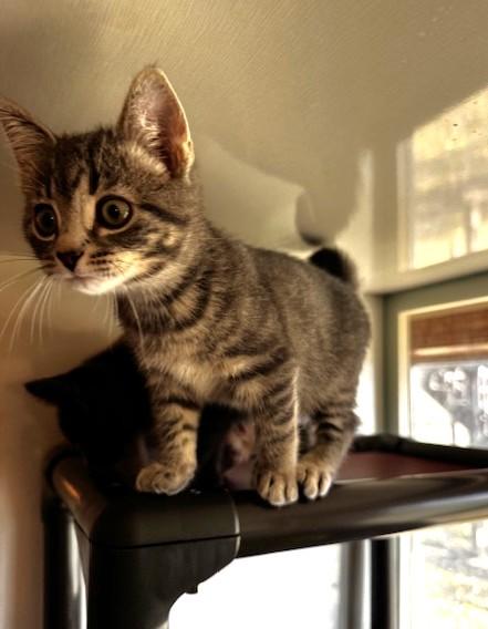 Gunther, Drake Ramoray and Marcel