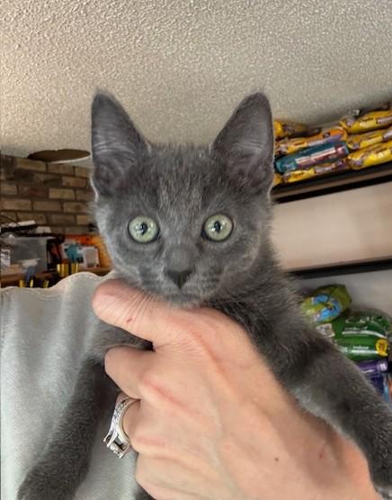 Gunther, Drake Ramoray and Marcel