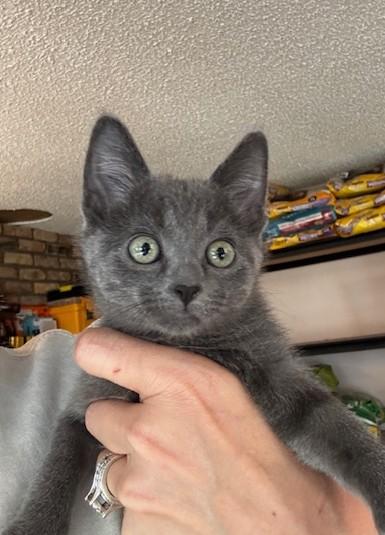 Gunther, Drake Ramoray and Marcel