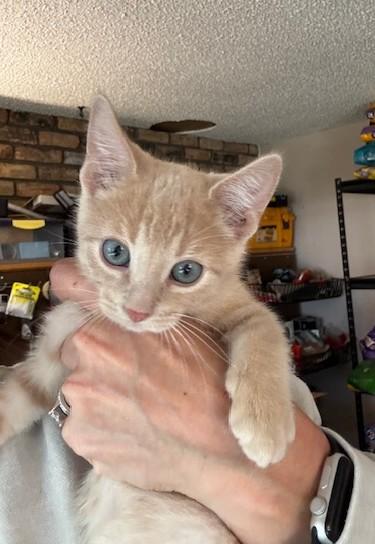 Gunther, Drake Ramoray and Marcel