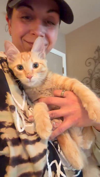 Enlarge Presley Aaron, a Adopted mixed breed in Oklahoma City, OK video 6/6