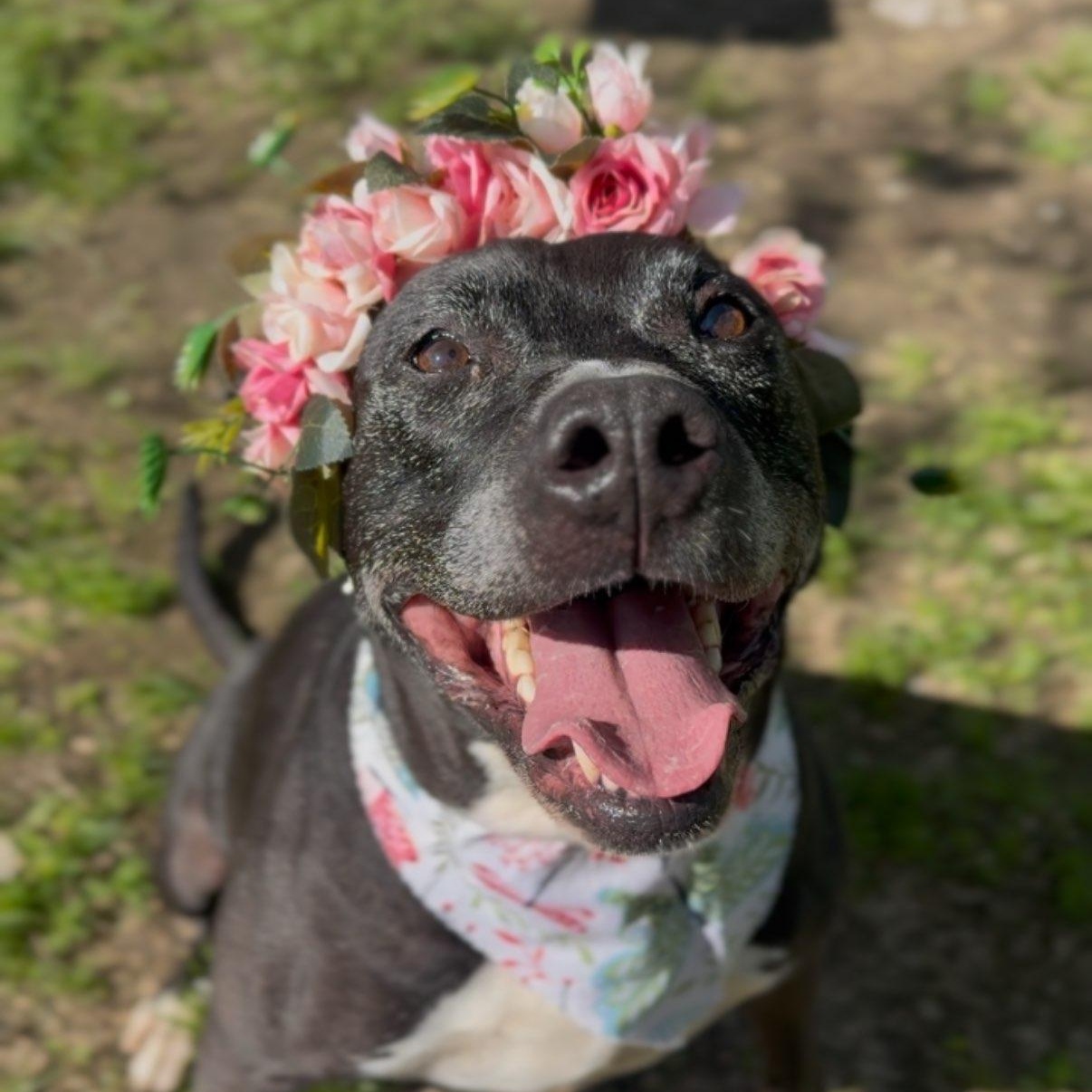 June- LONGEST RESIDENT