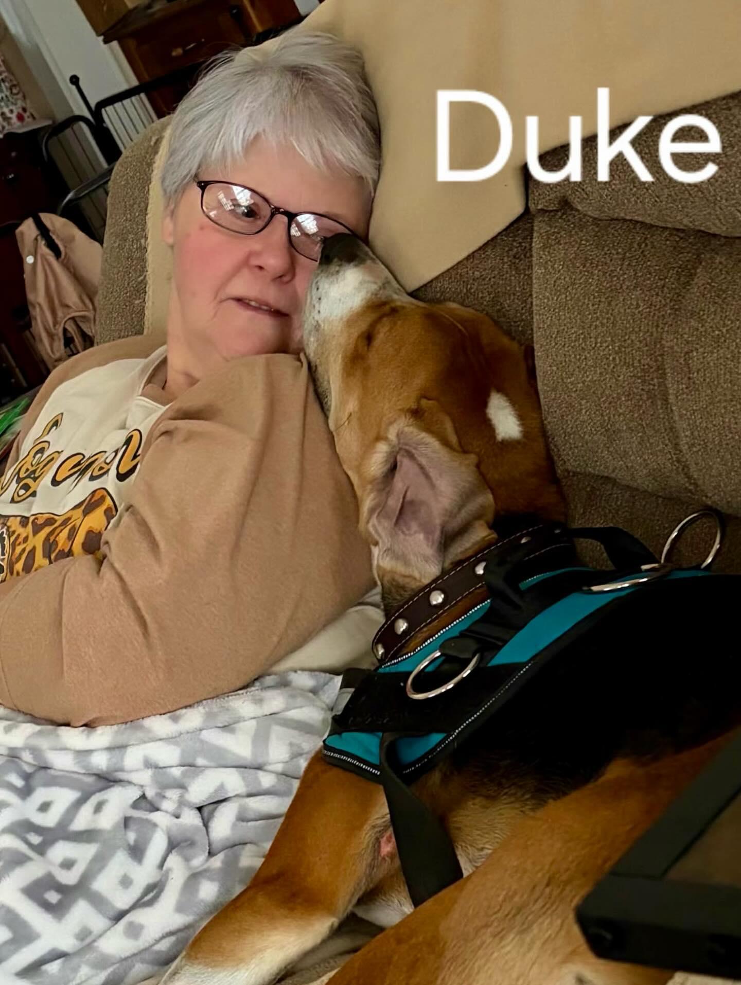 Duke, a ADOPTABLE mixed breed in Raleigh, NC image 3/6