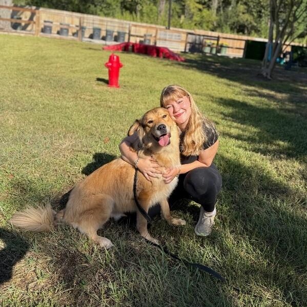 Reggie Golden Teddie — thumbnail 3